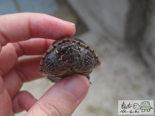 照片 460.jpg