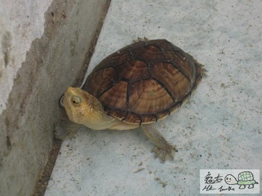 照片 458.jpg