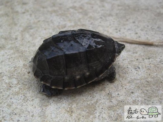 照片 459.jpg