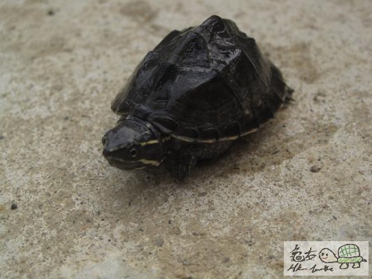 照片 461.jpg