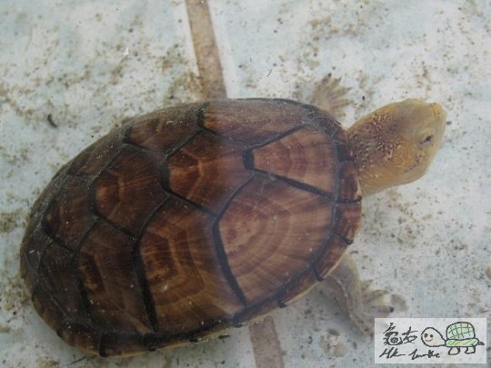 照片 462.jpg