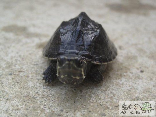 照片 464.jpg