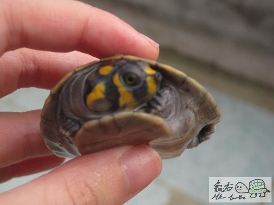 照片 465.jpg
