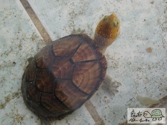 照片 463.jpg