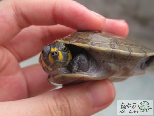 照片 466.jpg