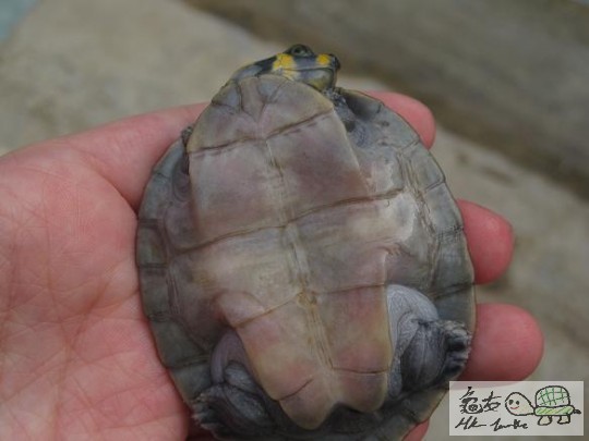 照片 467.jpg