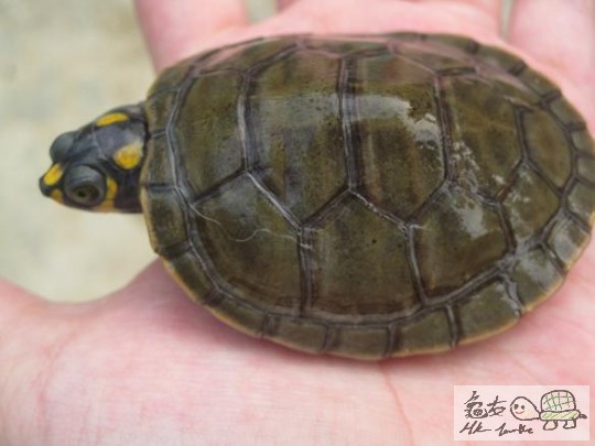 照片 468.jpg