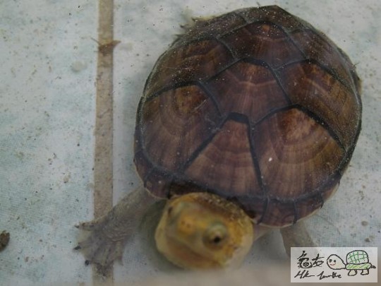 照片 469.jpg
