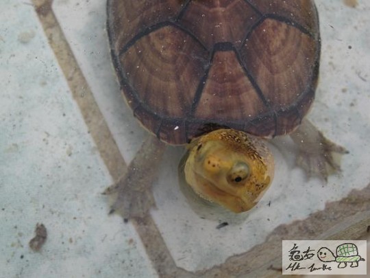 照片 470.jpg