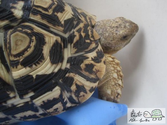 照片 474.jpg