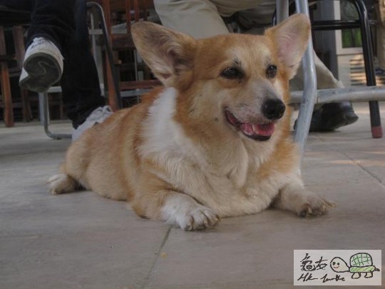 照片 472.jpg