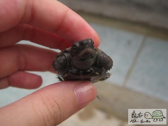 照片 476.jpg