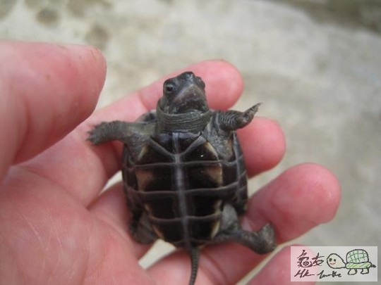 照片 477.jpg