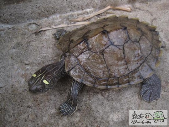 照片 475.jpg