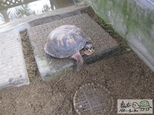 照片 480.jpg