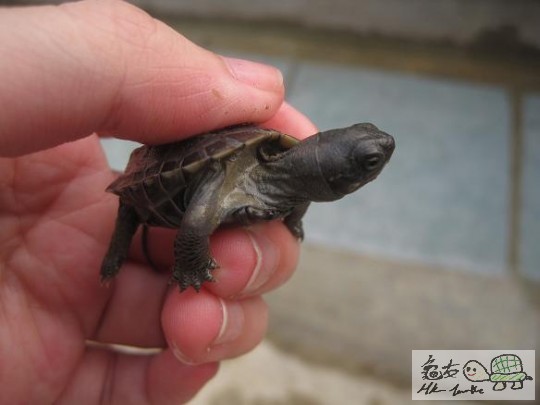 照片 478.jpg