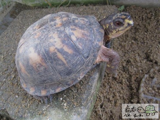 照片 482.jpg