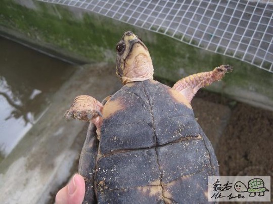 照片 483.jpg