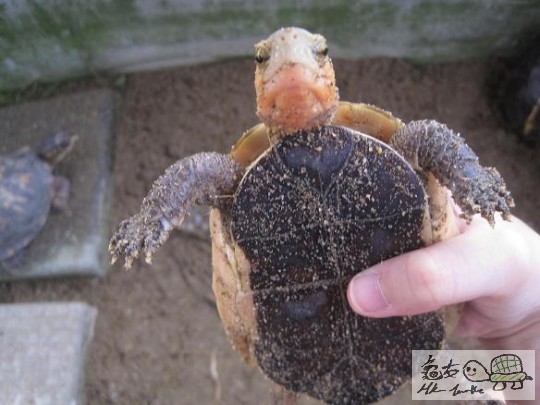 照片 485.jpg