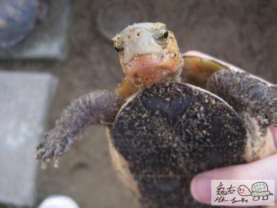照片 486.jpg