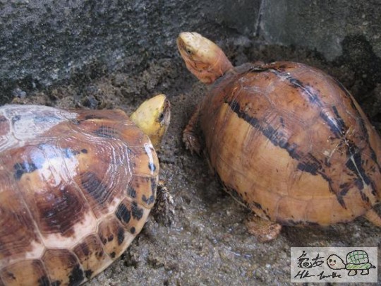 照片 487.jpg