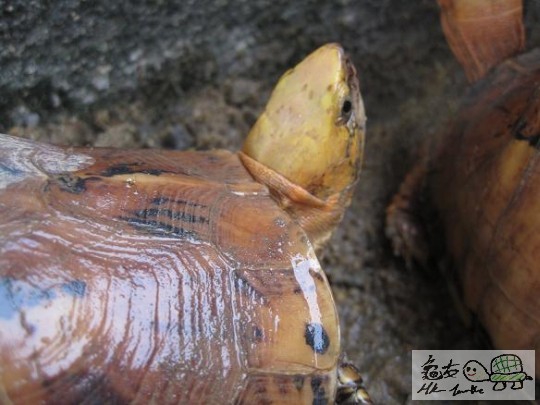 照片 488.jpg