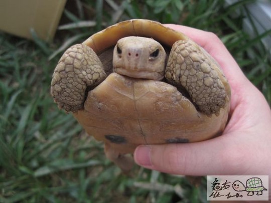 照片 489.jpg