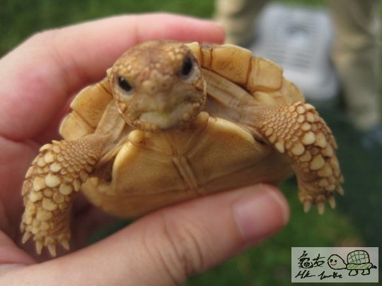 照片 492.jpg