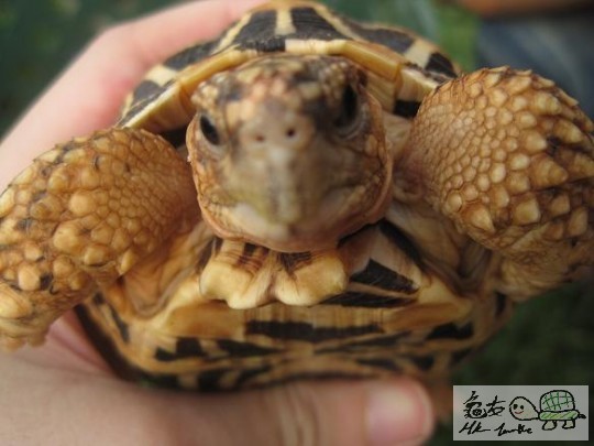照片 491.jpg
