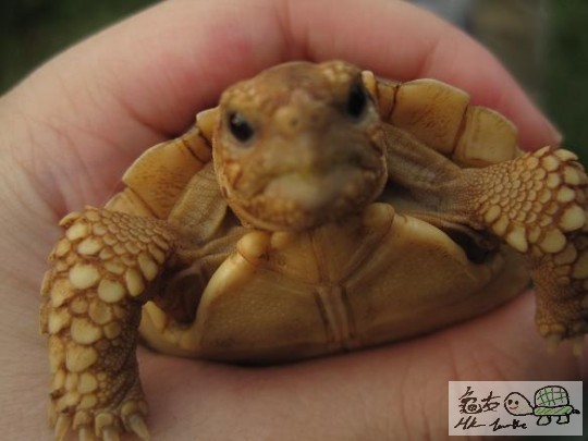 照片 493.jpg