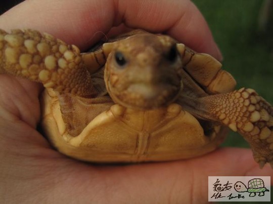 照片 494.jpg
