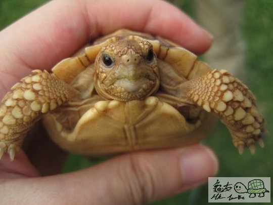 照片 495.jpg