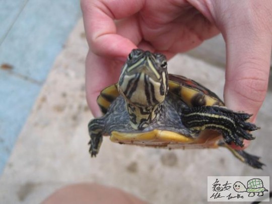 照片 513.jpg