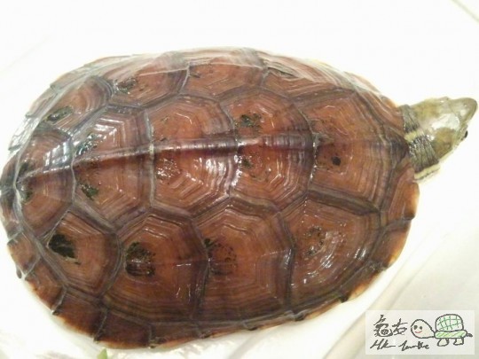 調整大小2012-10-29 23.32.12.jpg