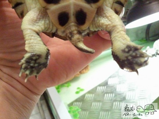 調整大小2012-10-29 23.33.33.jpg