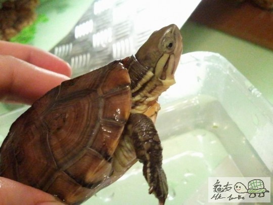 調整大小2012-10-29 23.34.23.jpg