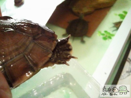 調整大小2012-10-29 23.35.56.jpg