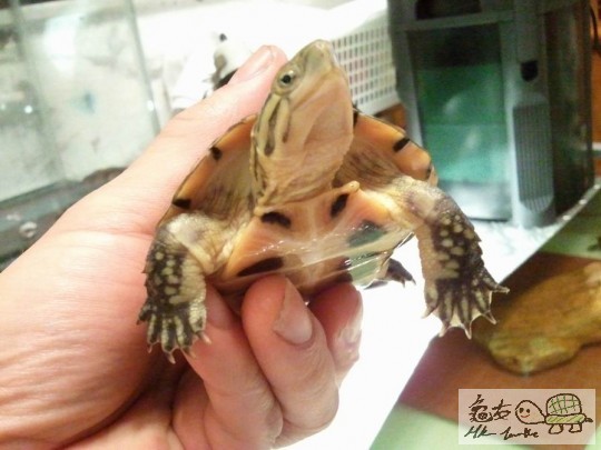 調整大小2012-10-29 23.36.49.jpg