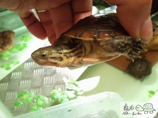 調整大小2012-10-29 23.36.06.jpg