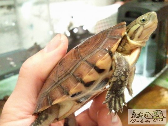 調整大小2012-10-29 23.37.12.jpg