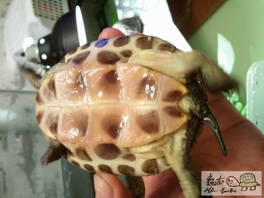 調整大小2012-10-29 23.39.22.jpg