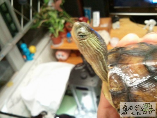 調整大小2012-10-29 23.40.57.jpg