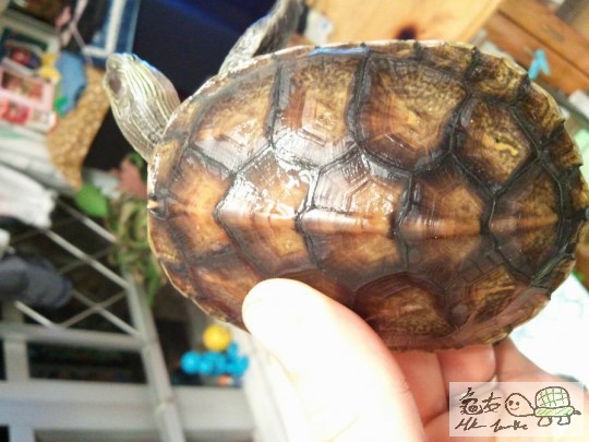 調整大小2012-10-29 23.41.23.jpg