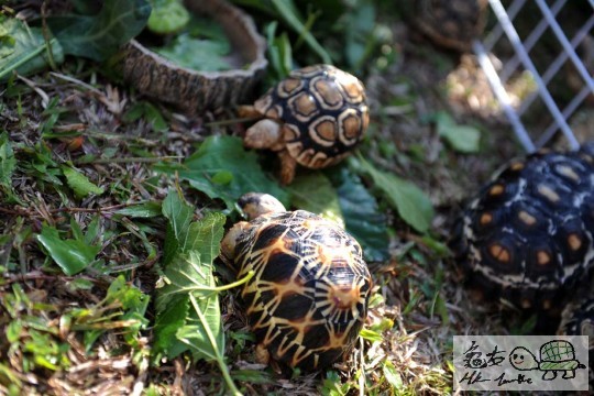 DSC_8405.JPG