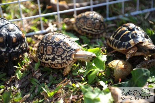 DSC_8416.JPG