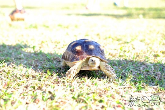 DSC_8425.JPG