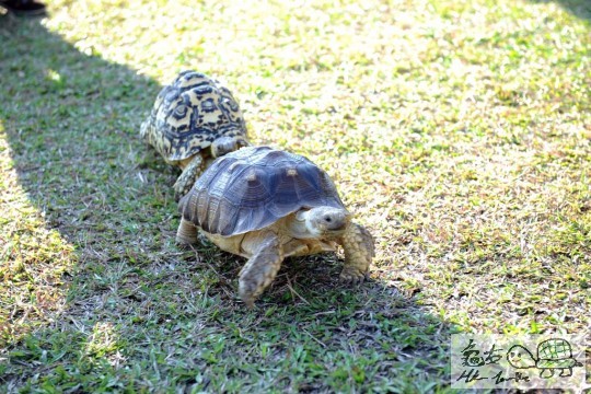 DSC_8429.JPG