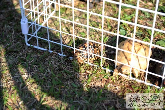 DSC_8437.JPG