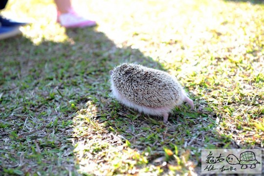 DSC_8446.JPG