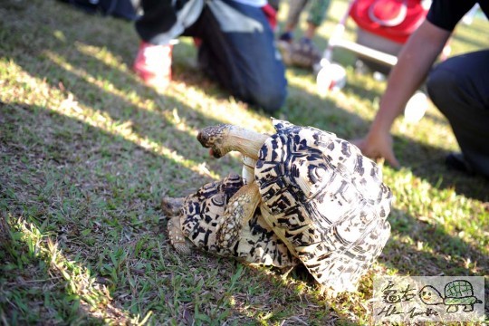 DSC_8468.JPG